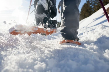 Schneeschuhlaufen Marbach / Marbachegg