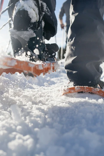 Schneeschuhlaufen Marbach / Marbachegg
