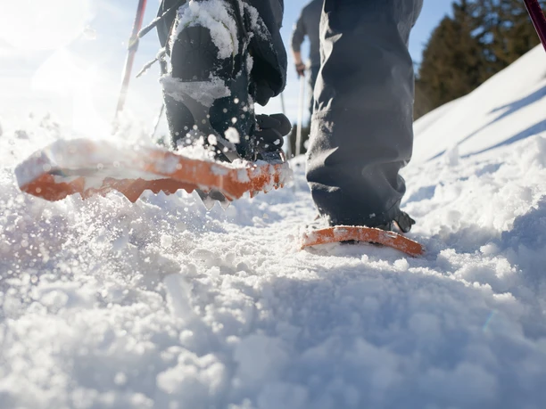 Schneeschuhlaufen Marbach / Marbachegg