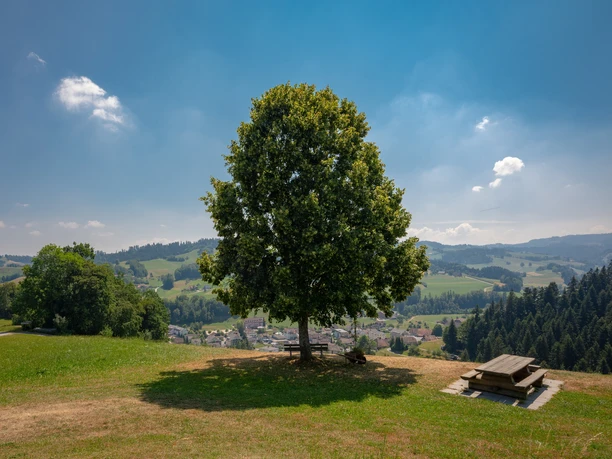 Feuerstelle Hickern ob Hergiswil LU