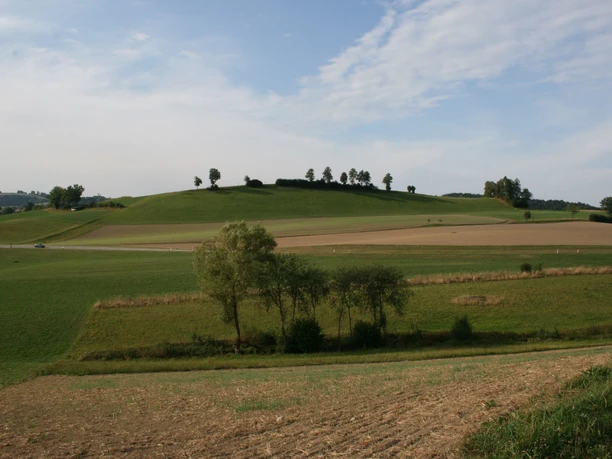 Die liebliche Hügellandschaft im Pfaffnerntal