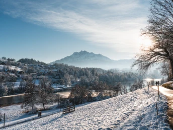 Verschneite Landschaft am Rotsee mit Blick auf den Pilatus