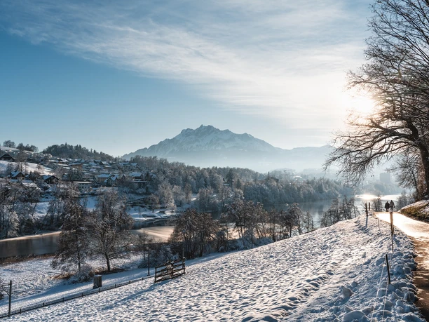 Verschneite Landschaft am Rotsee mit Blick auf den Pilatus