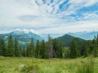 Aussichtspunkt auf dem Jänzi