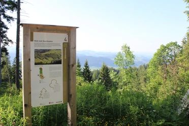 Immer wieder geniesst man eine tolle Aussicht ins Tal