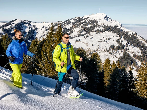 Schneeschuh-Tour auf der Rigi Scheidegg