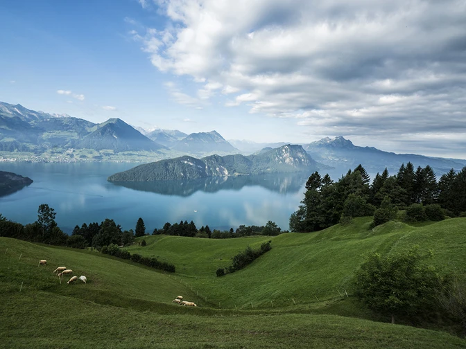 Aussicht über den Vierwaldstättersee