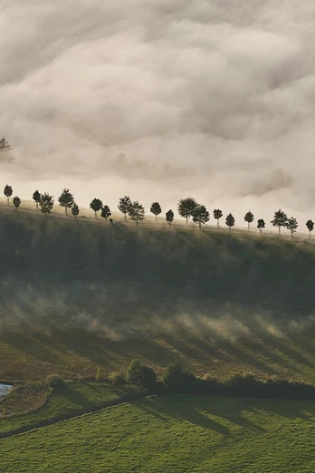 Blick hinunter auf die Seebodenalp