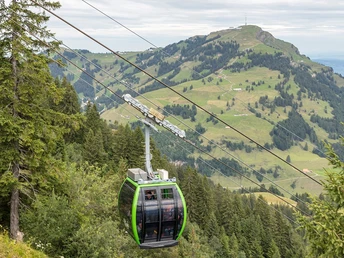Anreise mit der Luftseilbahn Kräbel - Rigi Scheidegg