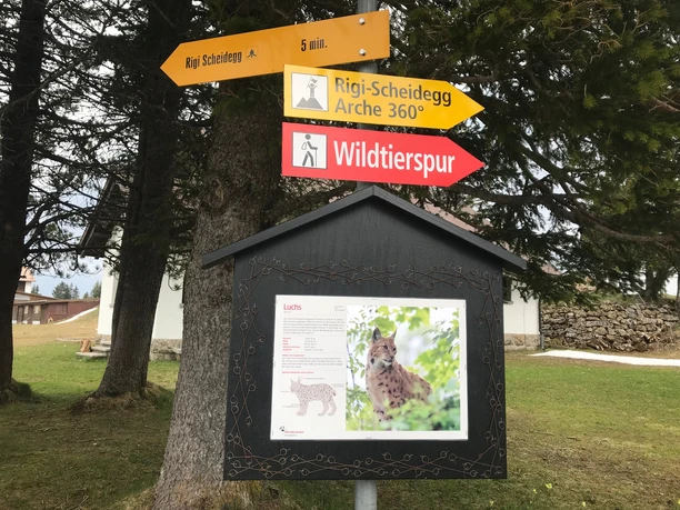 Wildtierspur