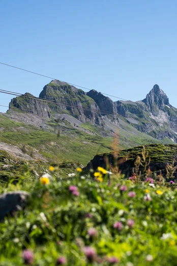 Luftseilbahn Sahli-Glattalp