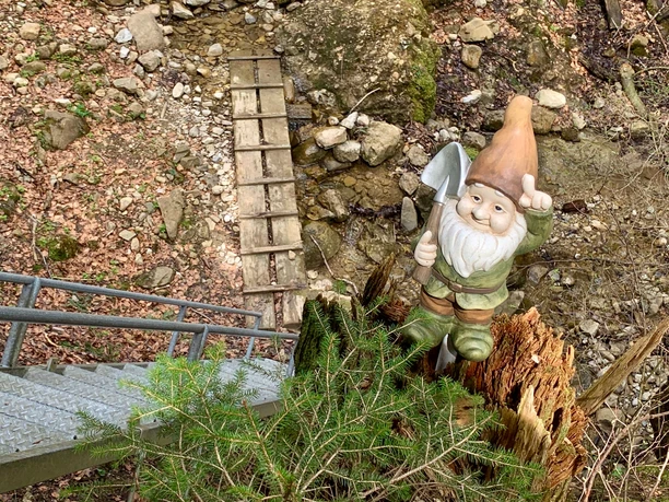 Zwärgliweg Rigi Burggeist