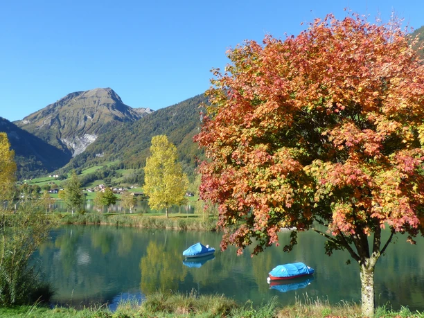 Lungerersee Rundweg