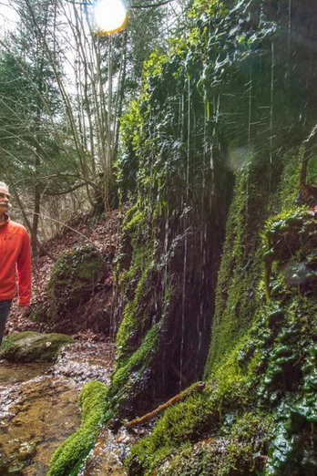 Mit Urs Heinricht auf dem Fuchspfad