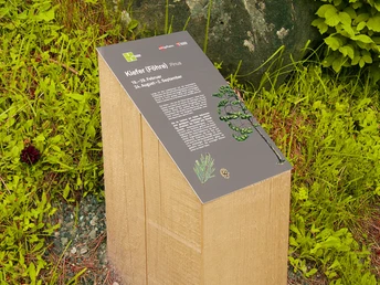 Die 22 Lebensbäume des keltischen Baumkreises begleiten den Kulturweg Schüpfheim