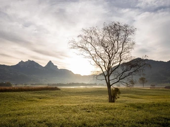 Wanderung rund um Lauerz