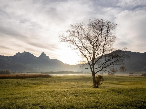 Wanderung rund um Lauerz
