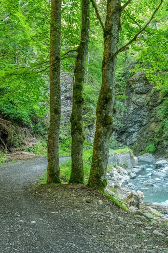 kleine Melchaaschlucht