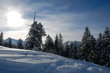 Winterlandschaft Mörlialp