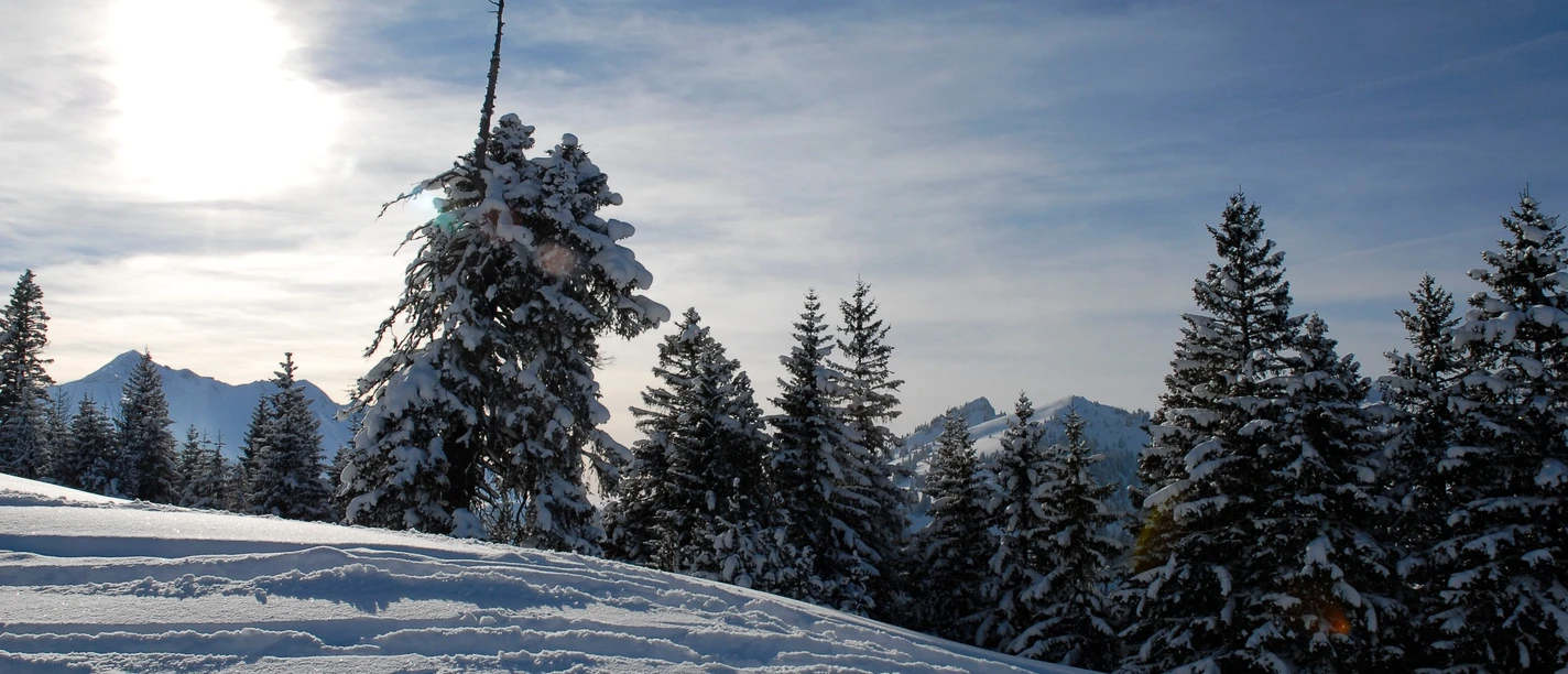 Winterlandschaft Mörlialp