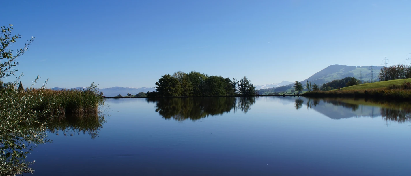 Freyenweiher am Rundweg Moos in Wollerau