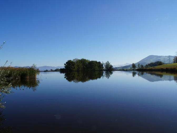 Freyenweiher am Rundweg Moos in Wollerau