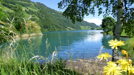 Blick über den Lungerersee