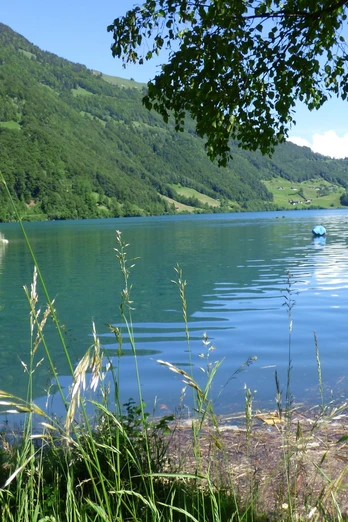 Blick über den Lungerersee