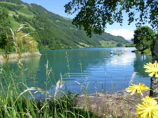 Blick über den Lungerersee
