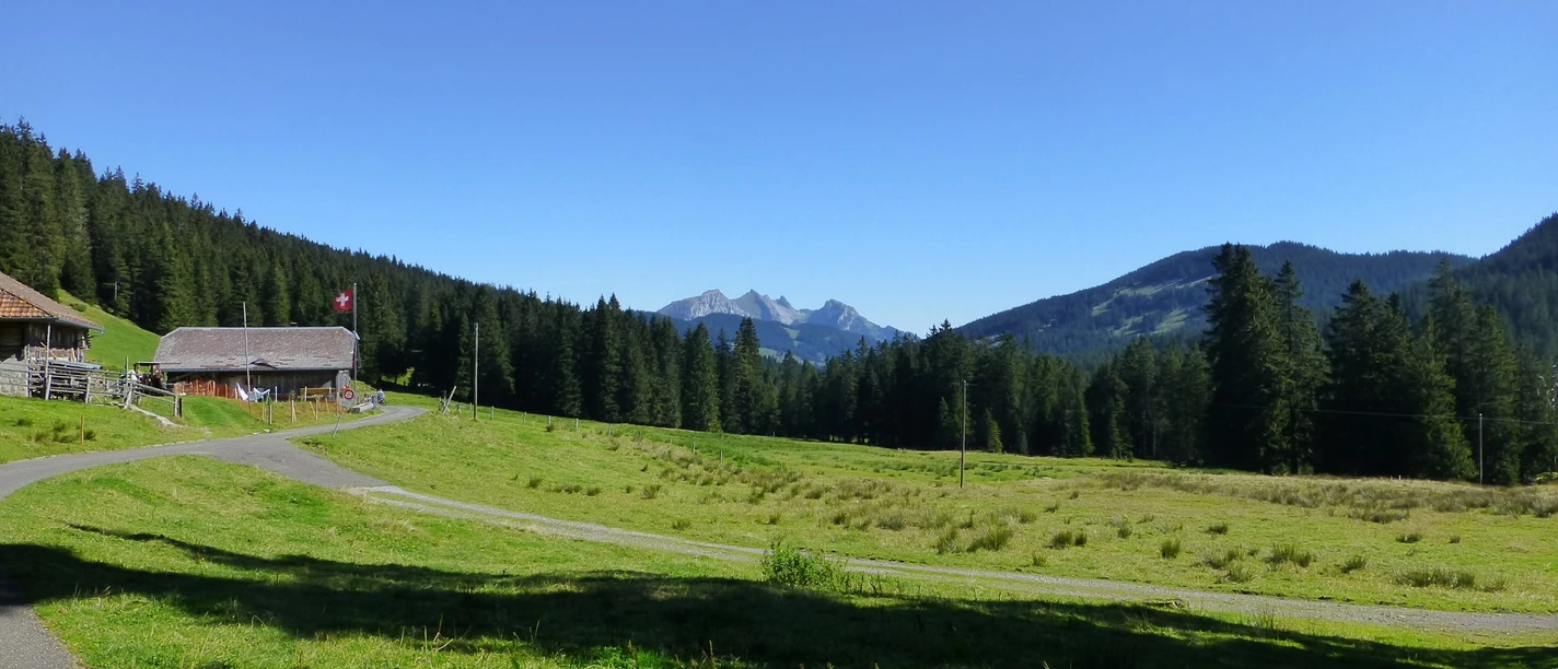 Langis mit Blick Richtung Pilatus