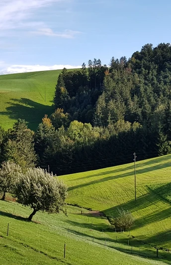 Typische Landschaft im Ohmstal