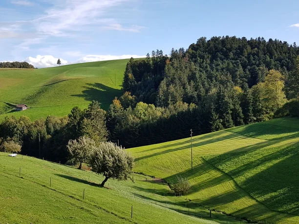 Typische Landschaft im Ohmstal