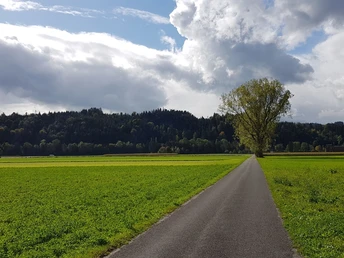 Weg von Schötz Richtung dem Bach Wigger