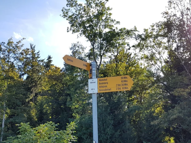 Wegweiser beim Hällershof, zwei verschiedene Weg führen nach Gettnau, wer die Wahl hat....