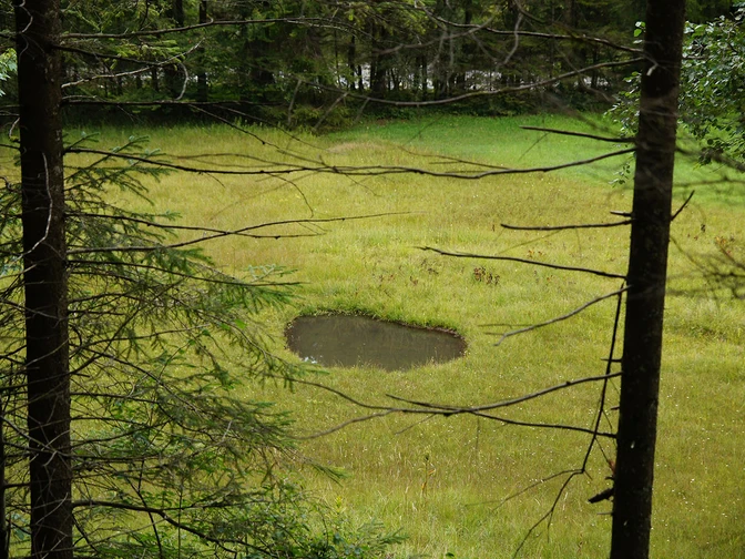 Auf dem Rundweg Dreiwässern trifft man auf viele Teiche und Tümpel in der Natur.