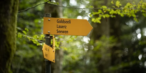 Goldseeli