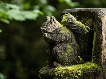 Schnitzkunst entlang des Naturschutzgebietet Sägel-Schutt