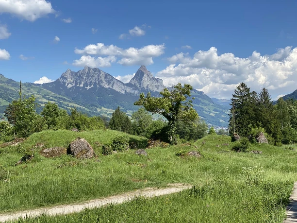Blick von den feuchten Riedwiesen des Naturschutzgebiets Schutt auf die Mythen.