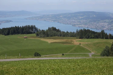 Blick auf den Zürichsee