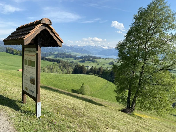 Eine Station des Bauernlehrpfads am Etzel.