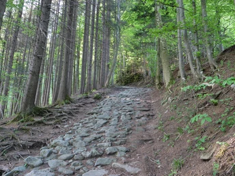 Abstieg vom Hoch-Etzel zum Etzelpass.