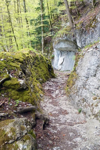 Steintreppe Hagflue - Römertreppe ©Arbeitsgemeinschaft Prospektion AGP (Fotograf; APG)