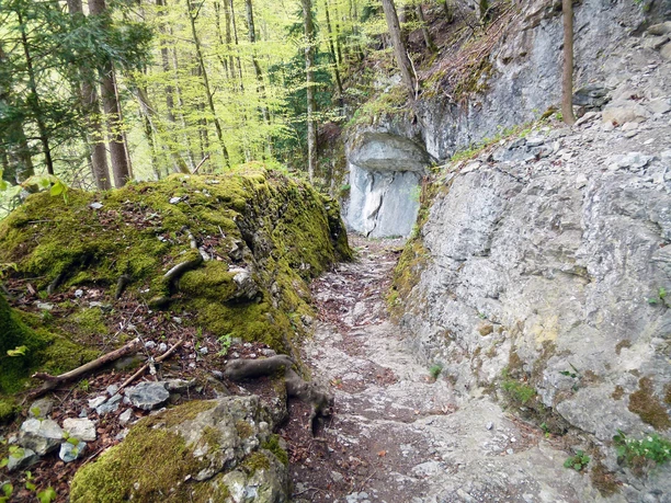 Steintreppe Hagflue - Römertreppe ©Arbeitsgemeinschaft Prospektion AGP (Fotograf; APG)