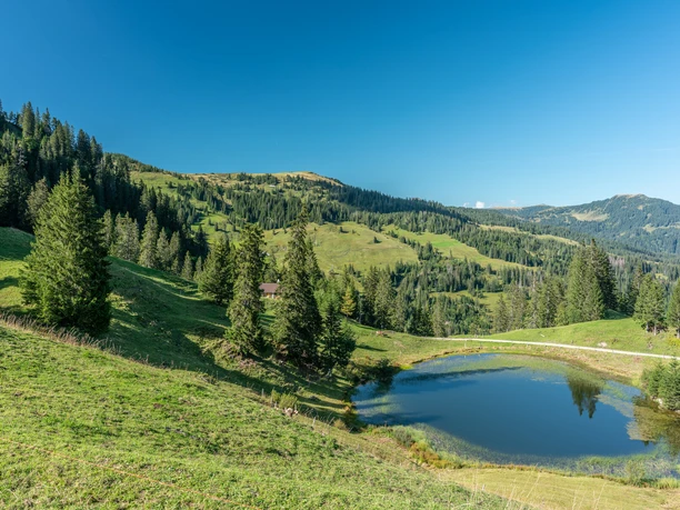 Ribiseeli Rundwanderung Haldimattstock