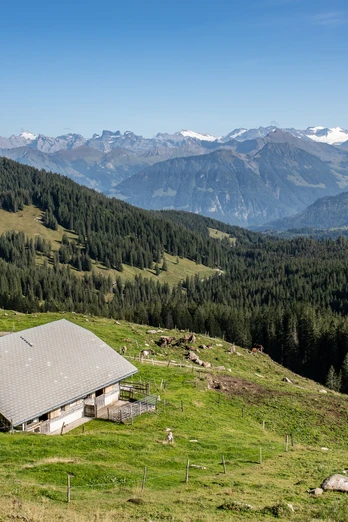 Alpbeiz Sattelpass, Giswil
