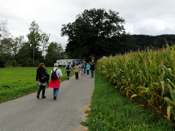 Wanderer auf dem Motivationspfad