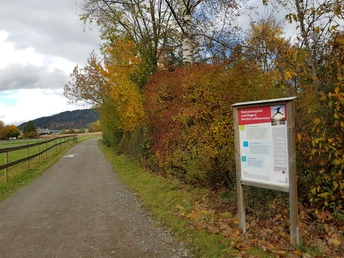 Am Ende / Anfang bei Schötz