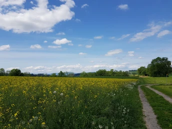 Blick zurück Richtung Stocki