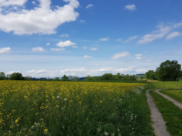 Blick zurück Richtung Stocki