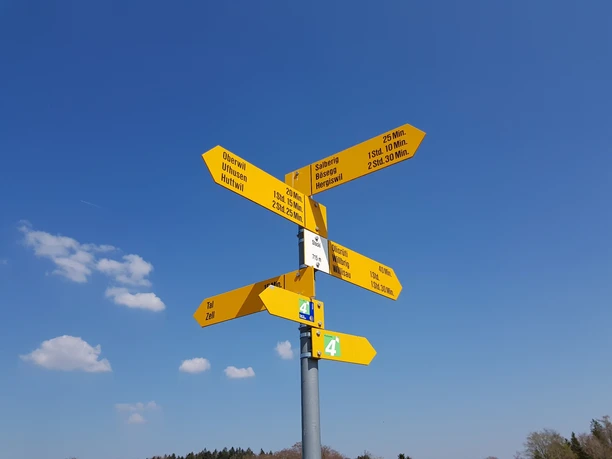 Auf Stocki kreuzen wir den Jakobsweg